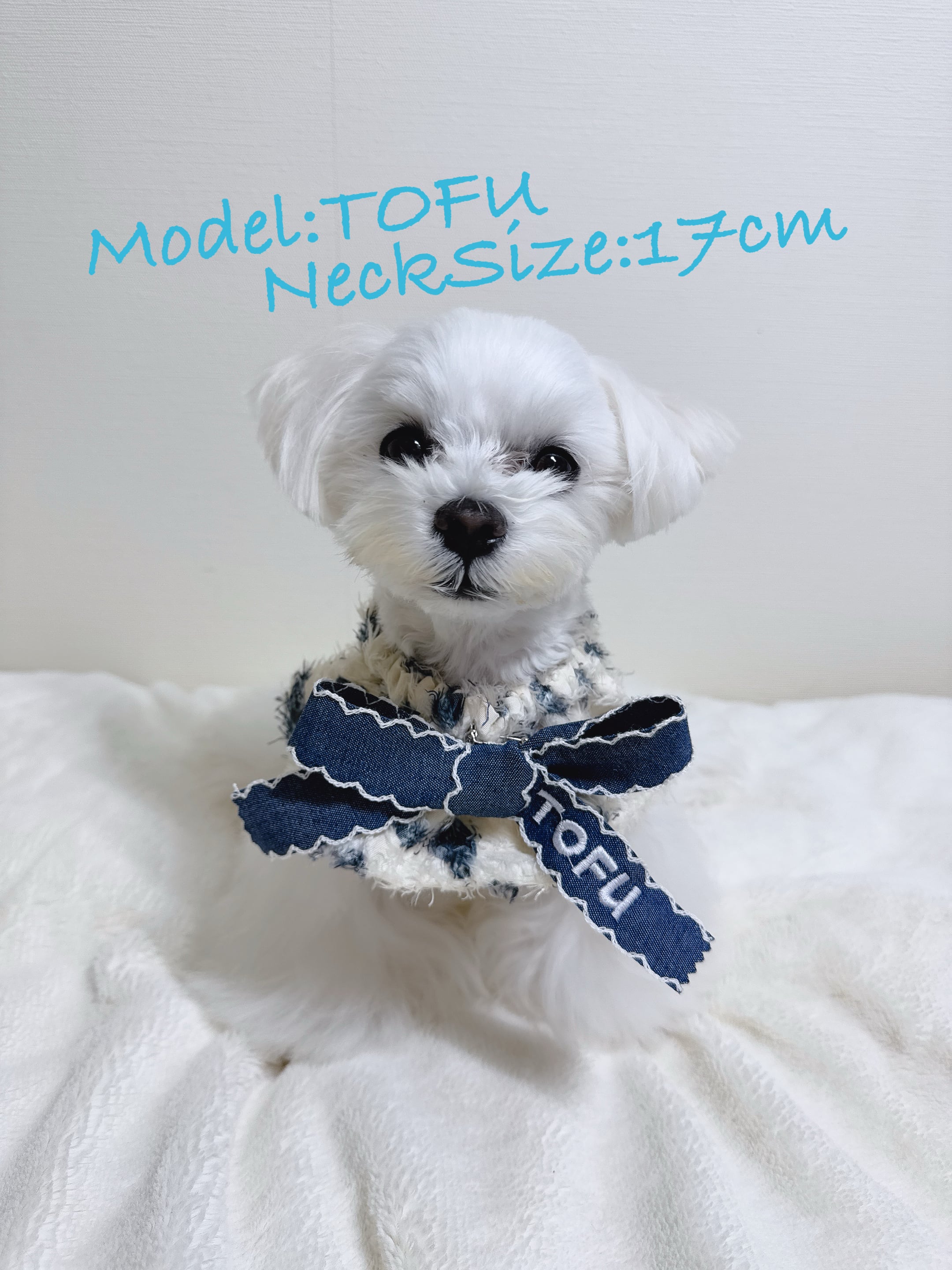 Blue Heart Cape/犬スタイ/犬ケープ/ネーム刺繍 | MuMu.