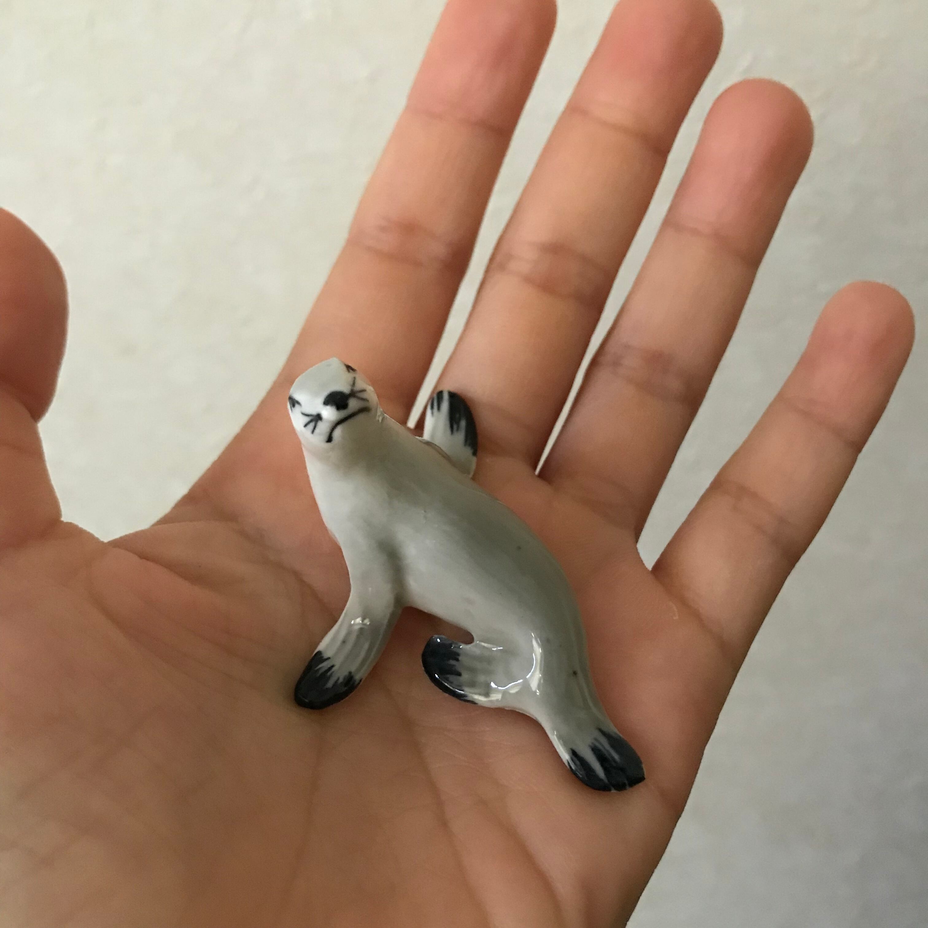 誘惑するオットセイ