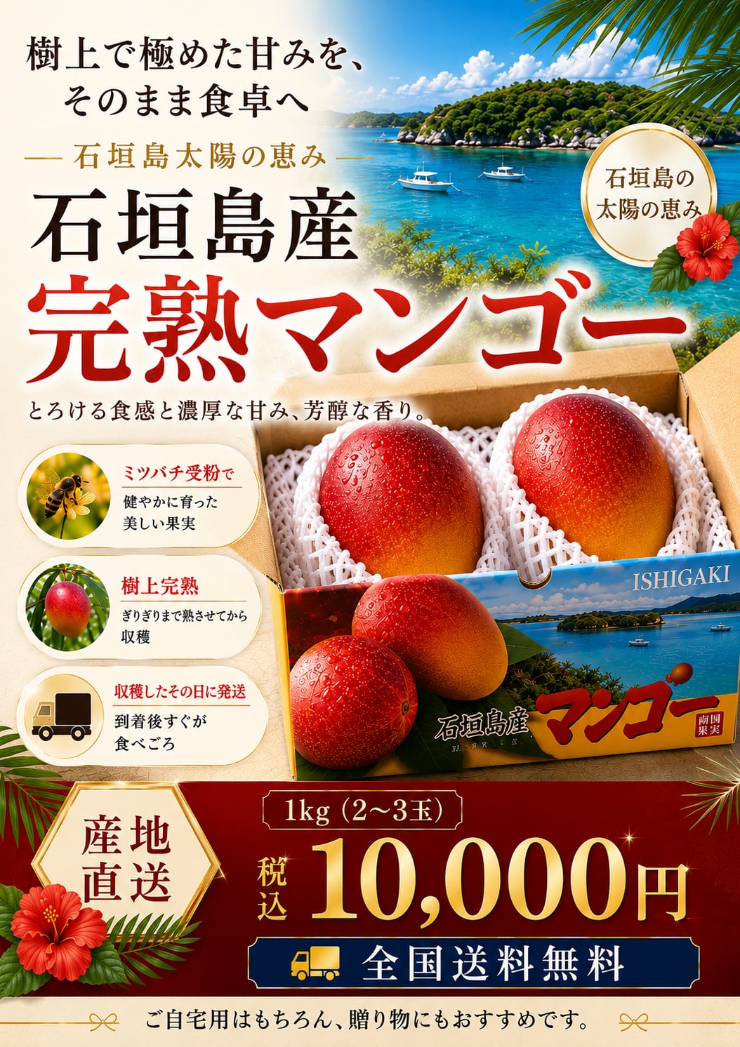 極めた甘み 石垣島産 完熟マンゴー 【6月30日までの受付です】