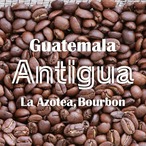 グアテマラ / アンティグア アゾテア農園 ブルボン SHB