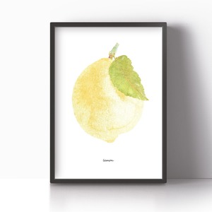 アートポスター / Lemon  eb150