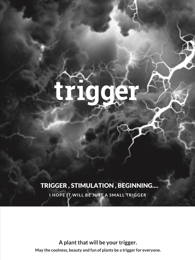 trigger「ポストカード」