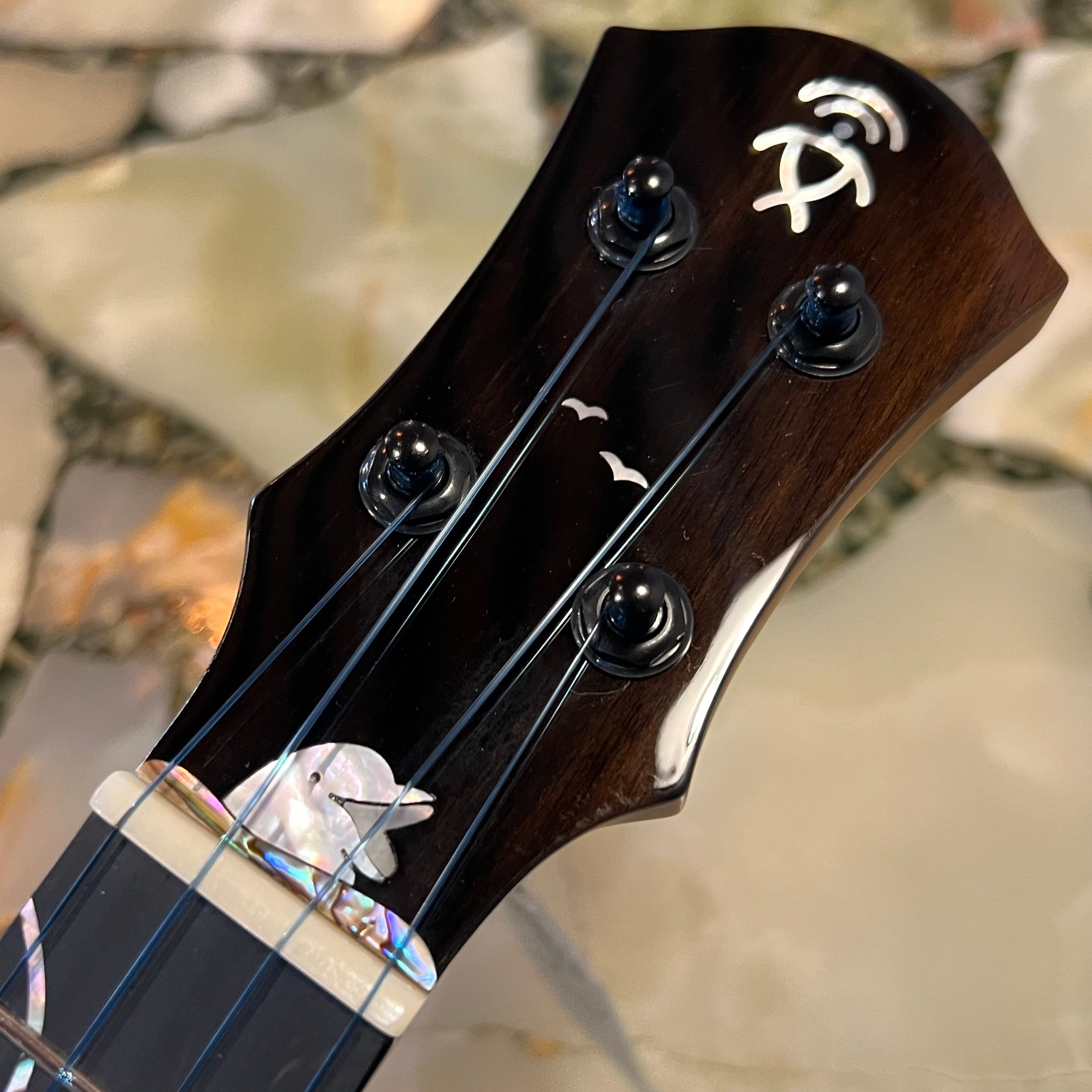 新品 調整後発送 aNueNue コンサートウクレレ aNN-Dolphin 2025 Ⅱ E