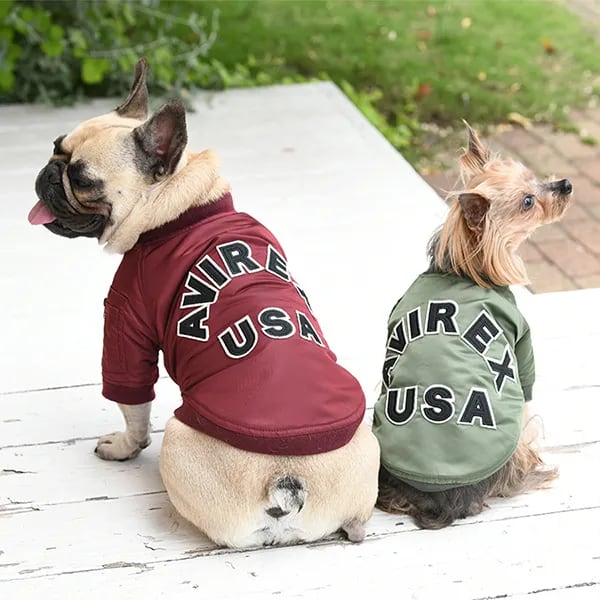 BowHOUSE -犬服 アウトレット専門店-