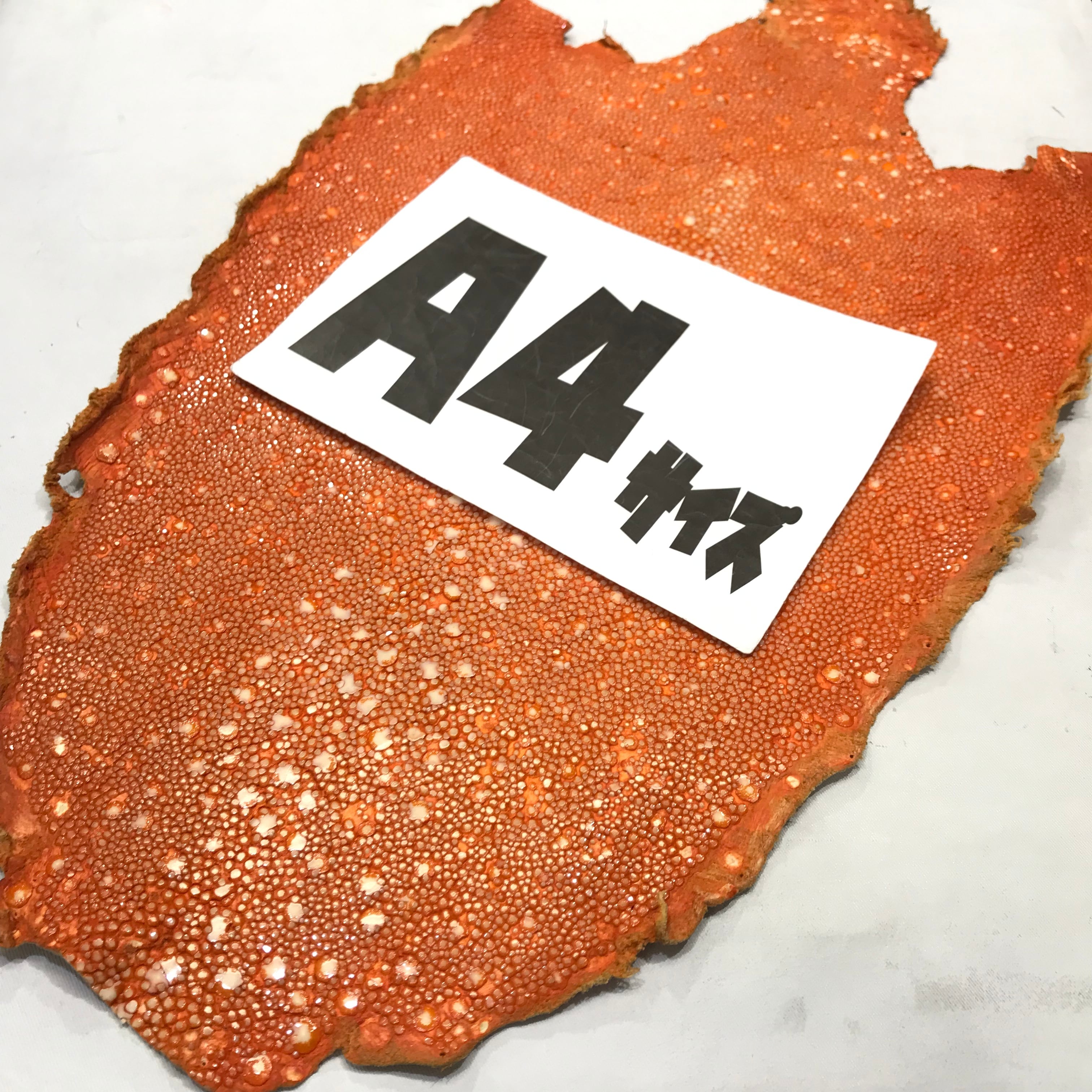 梅花皮（カイラギ）AC-38 ※浅草橋駅前店販売商品 | and leather