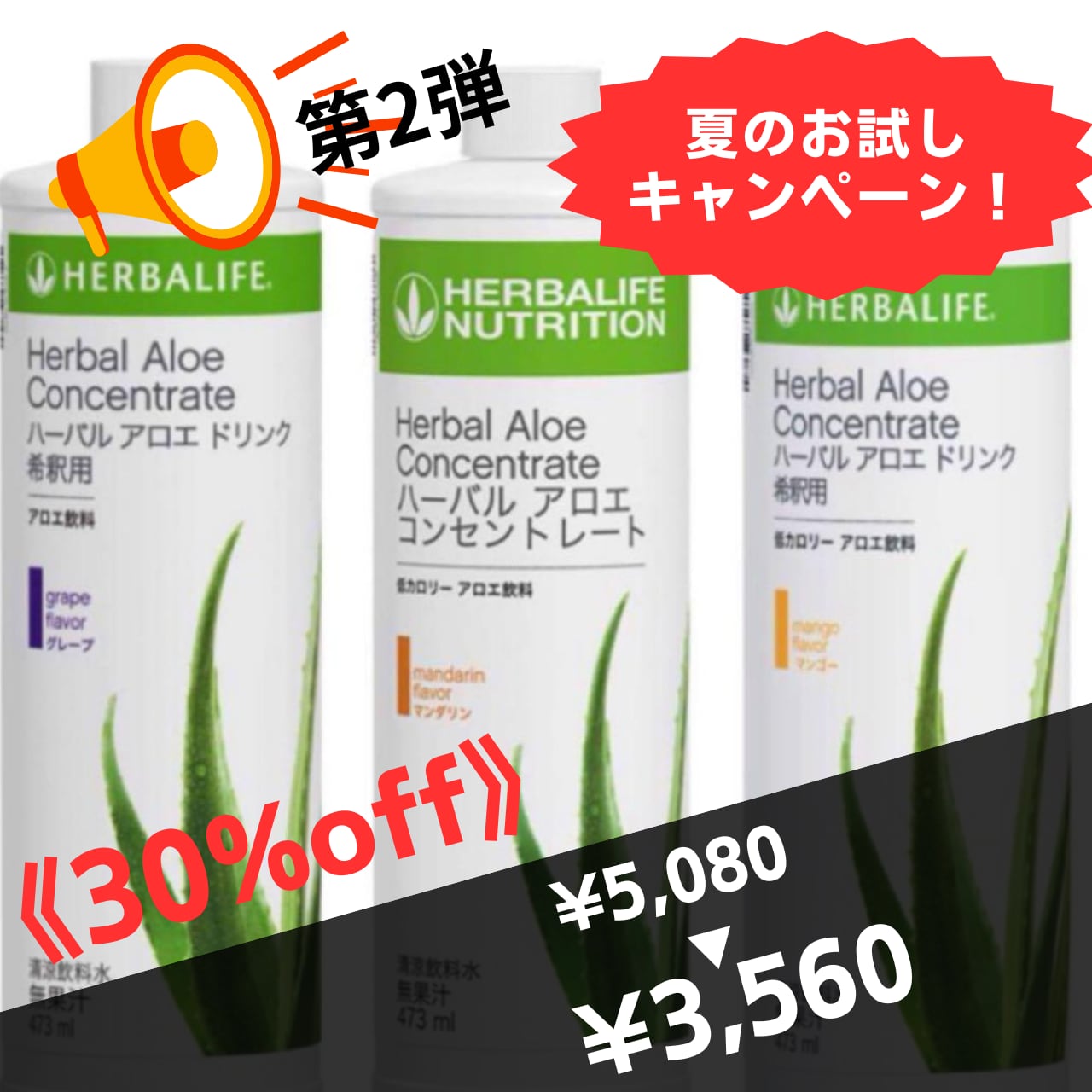 ハーバライフアロエドリンク。グレープ4本セット ハーバライフ ハーバライフアロエドリンク。グレープ4本セット ハーバライフ