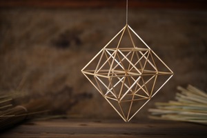 at858 リトアニア直輸入　初心者ソダスDIYキット