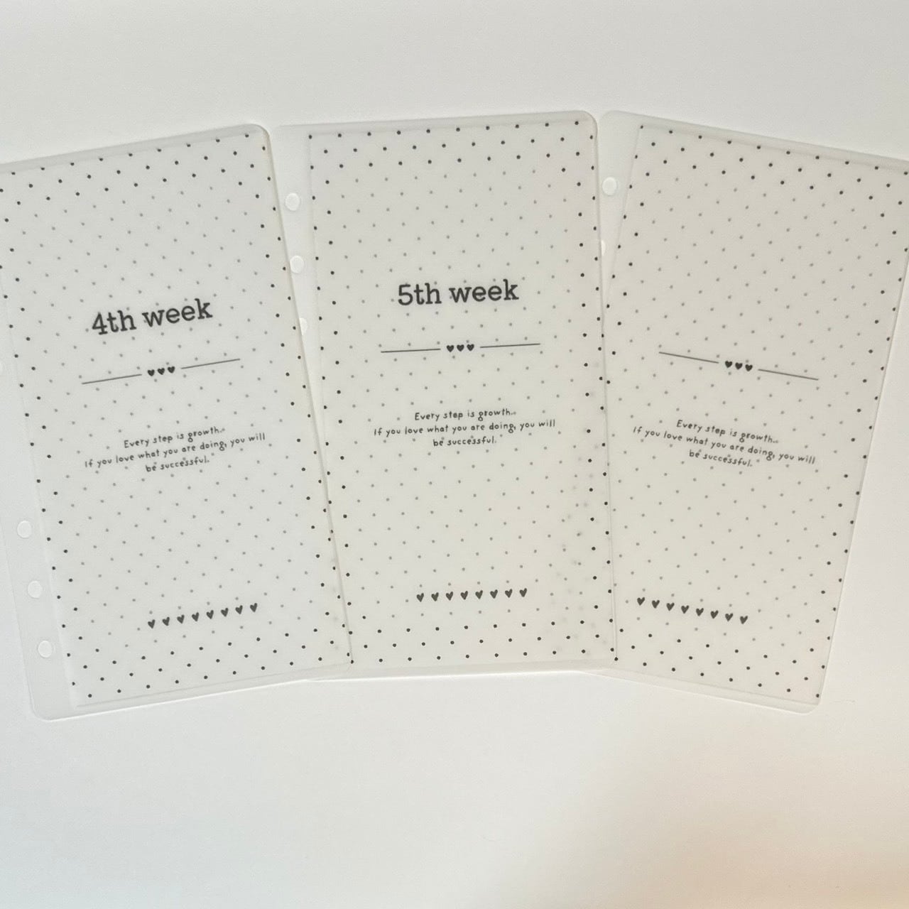 Weekly Dot | COPOCHE