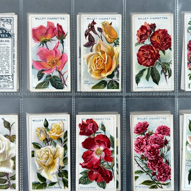 ✦-✦フルセット50枚 花 薔薇✦-✦ 英国 ヴィンテージ シガレットカード イギリス 英国  2604005-4
