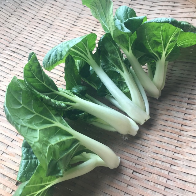 広東白菜苗　300ｇ／中国野菜