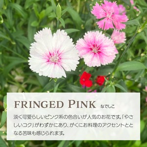 【エディブルフラワー】暖色系詰め合わせ・化学肥料/農薬不使用の安心して食べられるお花　50輪
