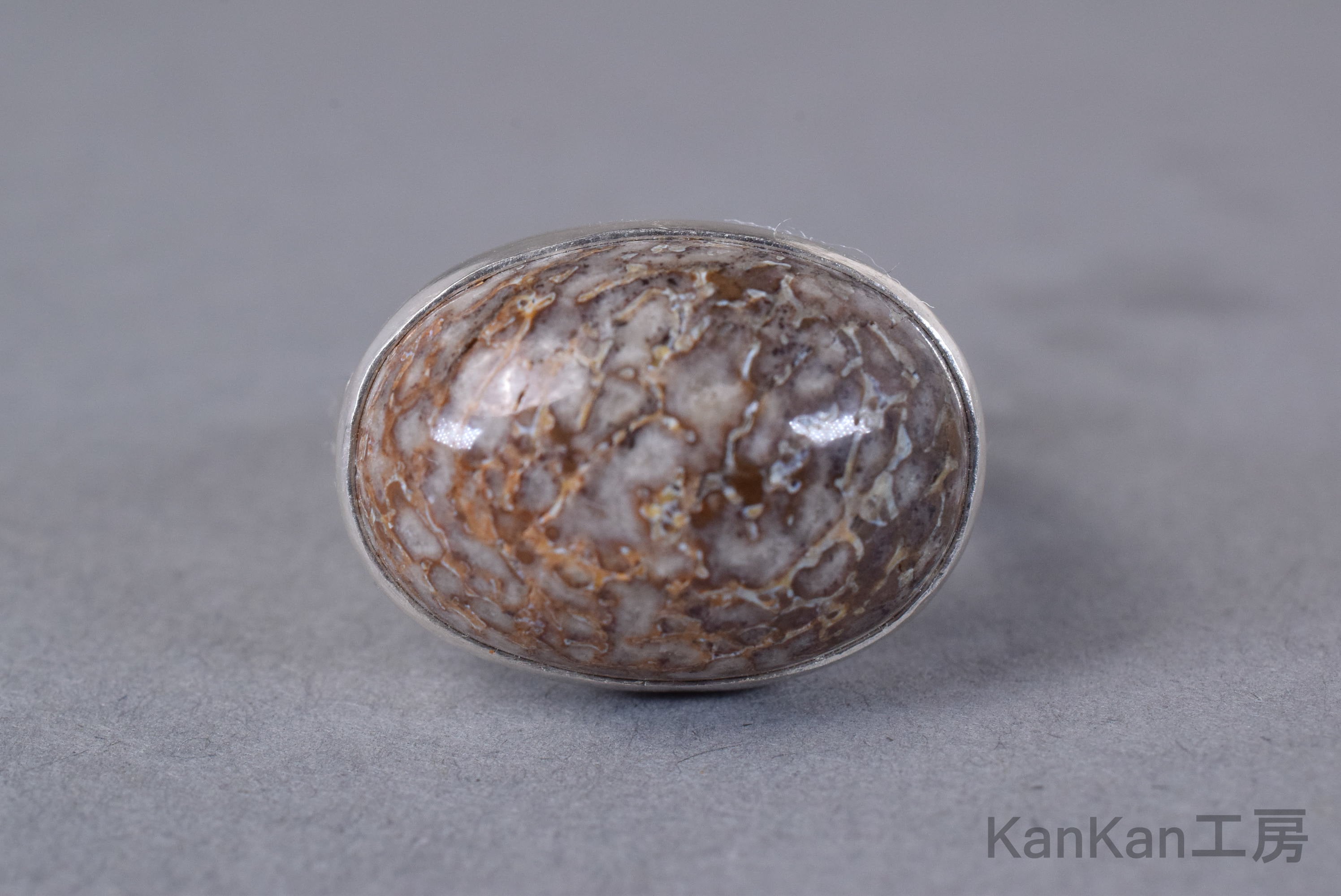 ダイナソーボーンフォッシルのリング