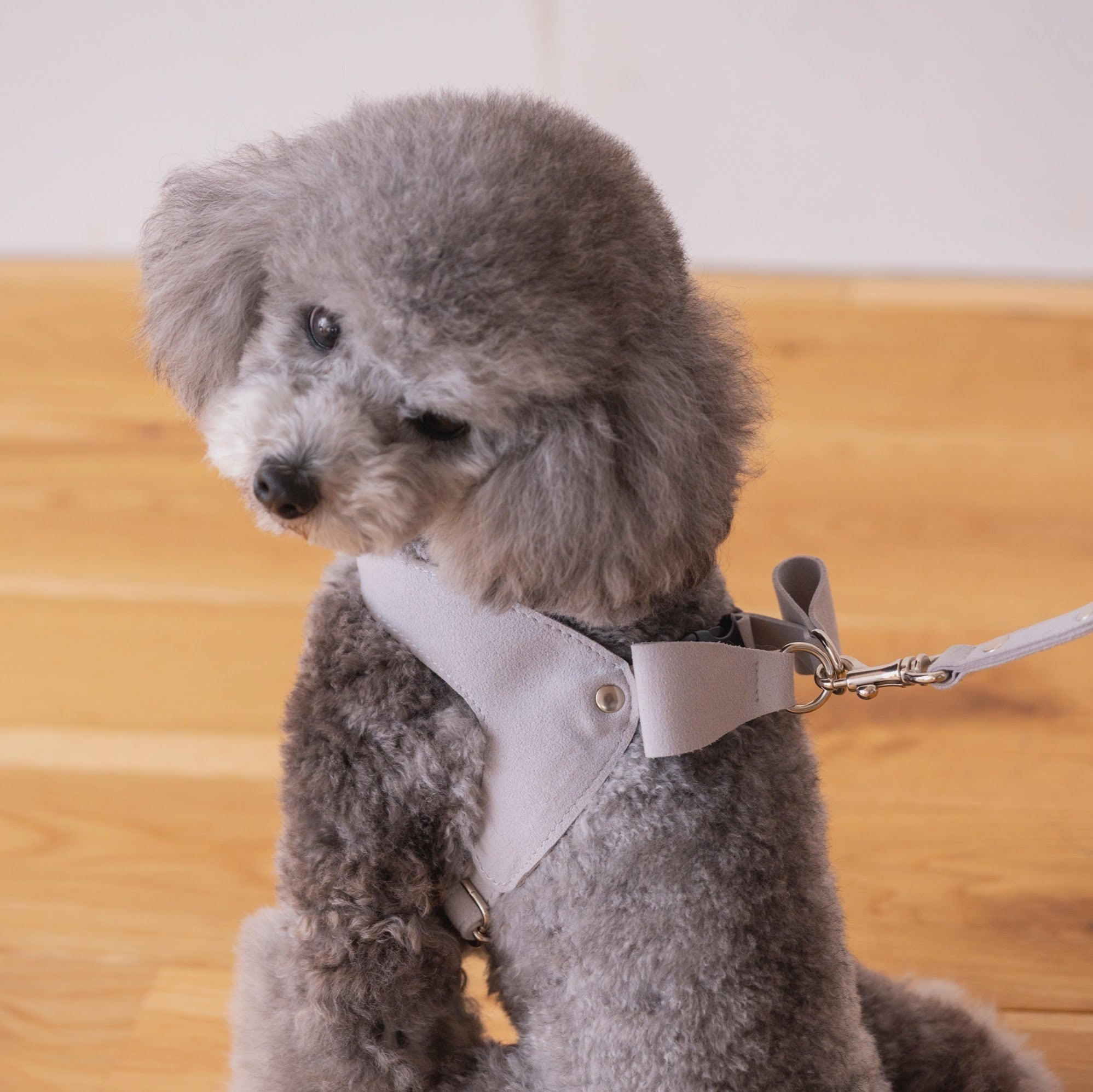 soph Milla Ribbon Harness 軽量バックリボンハーネス ライトグレー ー