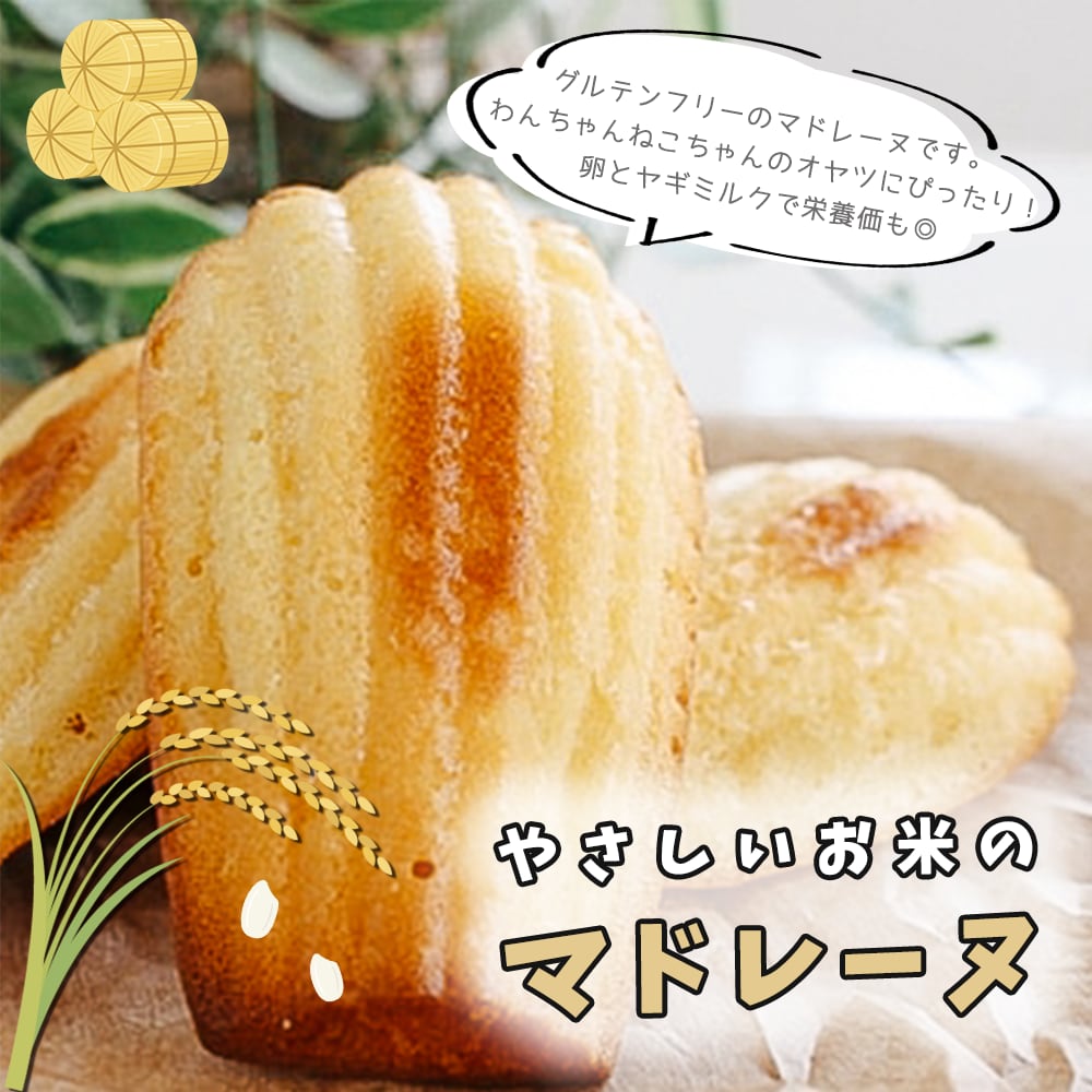 やさしいお米のマドレーヌ