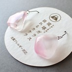 琉球のカケラピアス/イヤリング