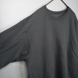 フルーツオブザルーム　クルーネック　スウェット　ガゼット　トレーナー　無地　L