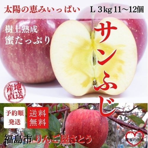 ３kg 箱（約11～12個入り） りんご サンふじ L 産地直送 送料無料 12月上旬～順次発送 福島 りんご屋さとう