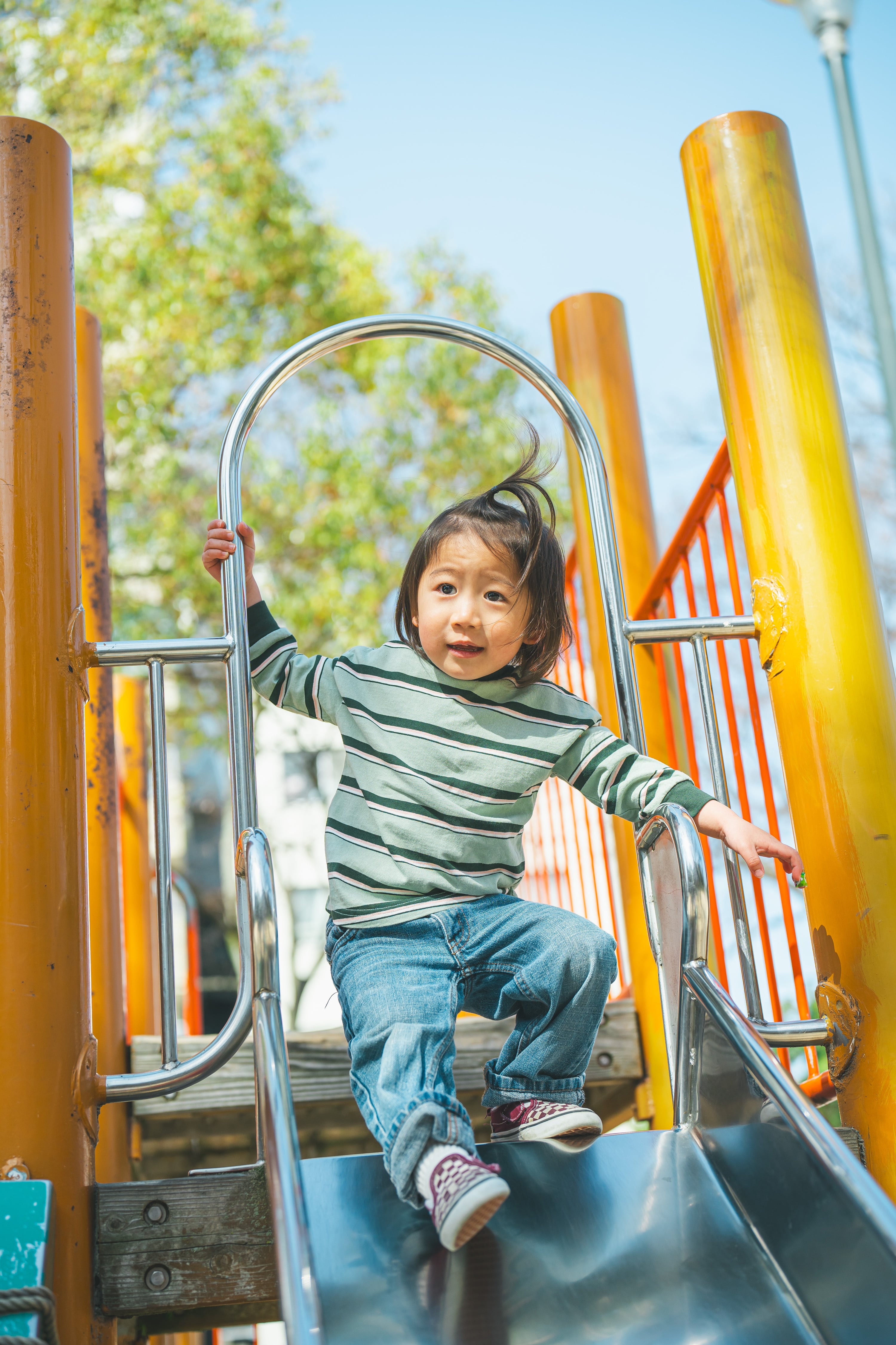 ＆pal ダンボ long sleeve Tee 90 ブラウン 90cm | YAOYA