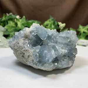 5.空色セレスタイトに住み着いているフローライトハリネズミさん