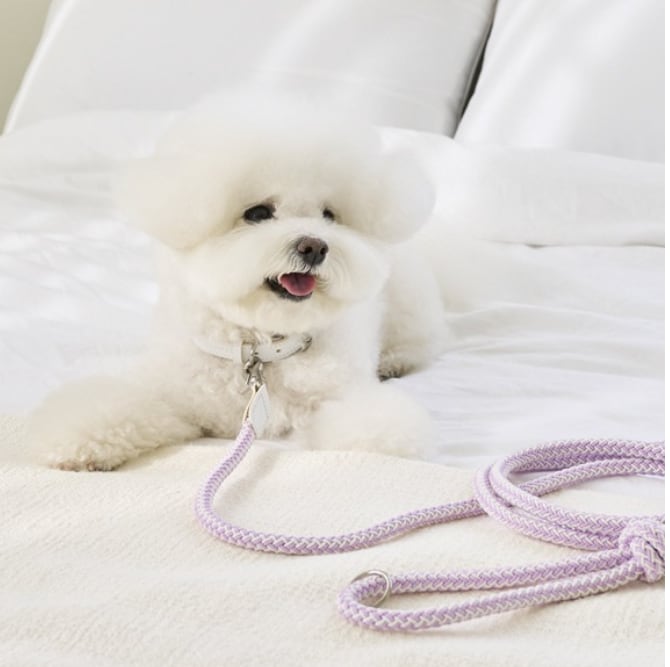 即納【stroll】Rope Leash Classic (New Lilac)