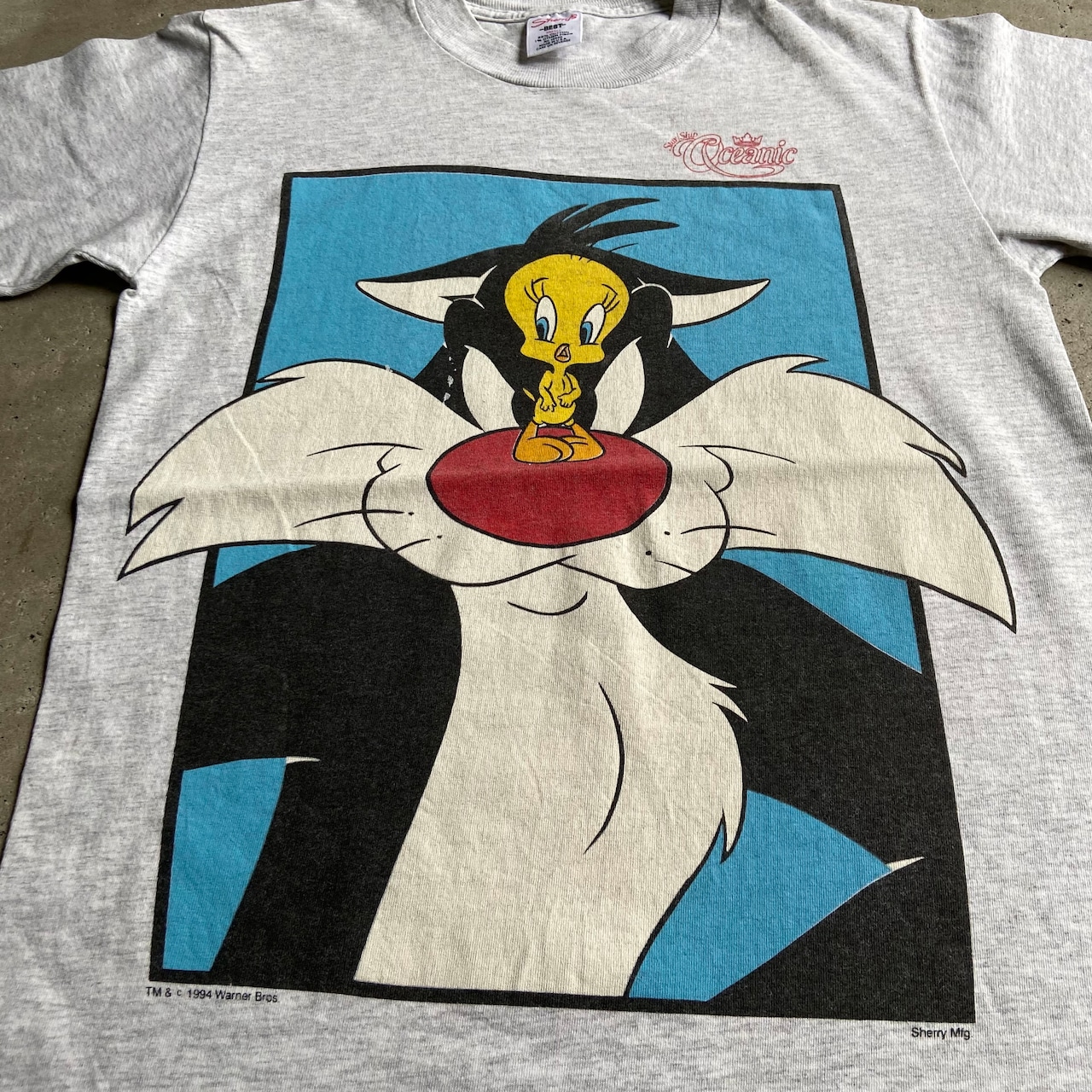USA製 90年代 Looney Tunes ルーニーテューンズ トゥイーティー 
