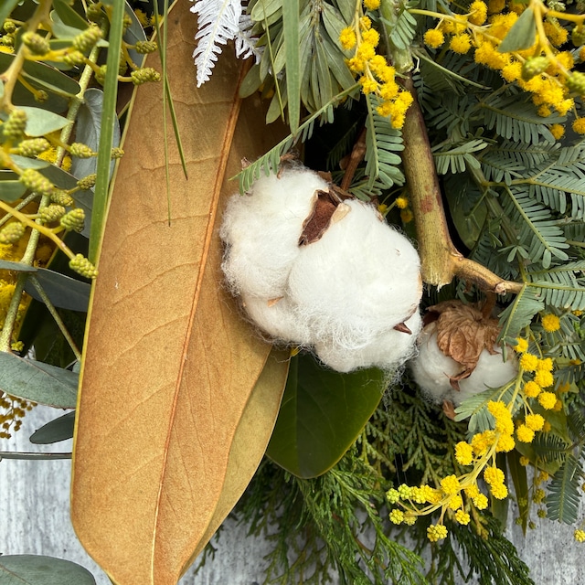 【３月中旬まで限定】ミモザとコットンのGreenスワッグ【特大サイズ　全長65cm程度】