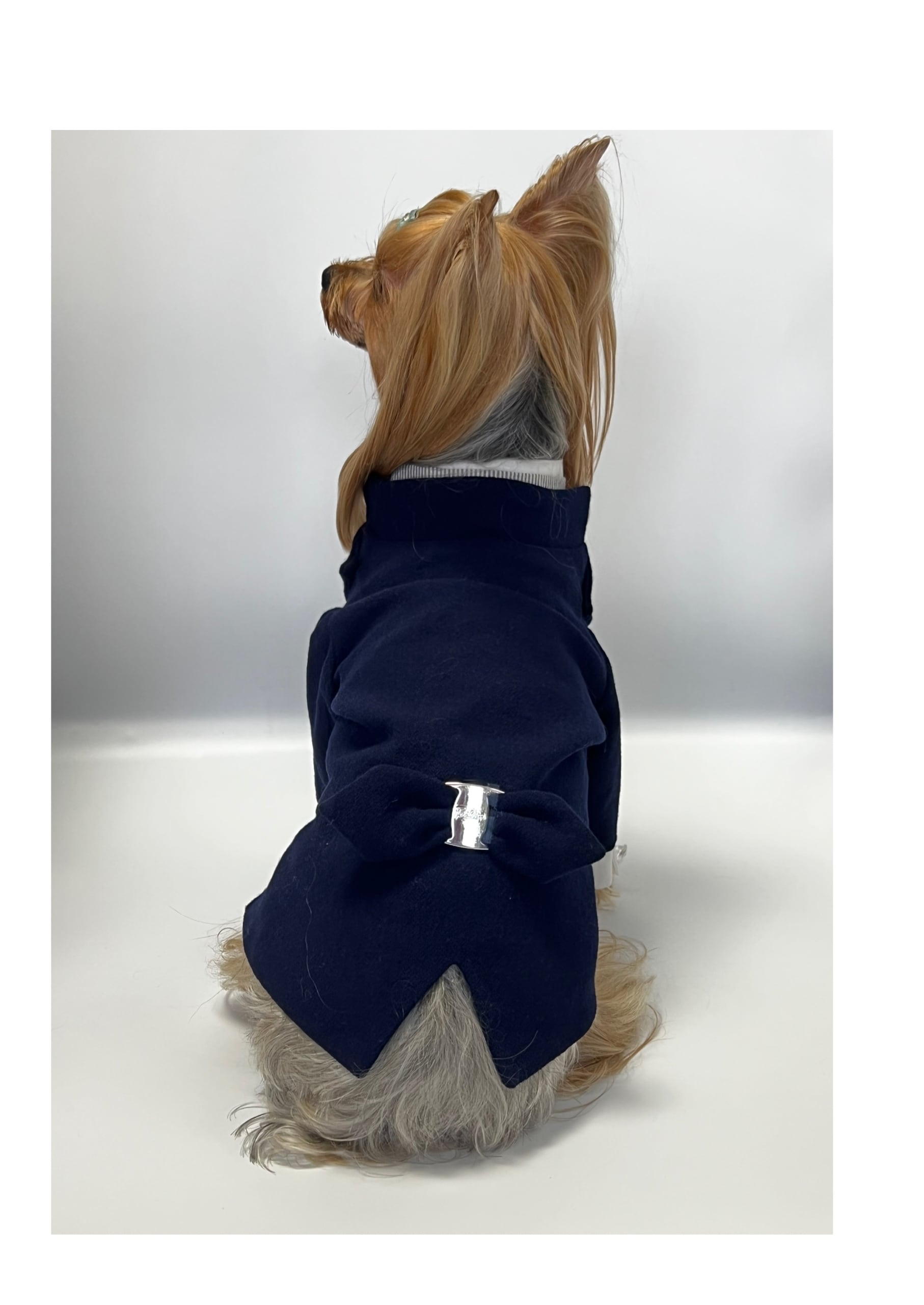 犬服オーダー