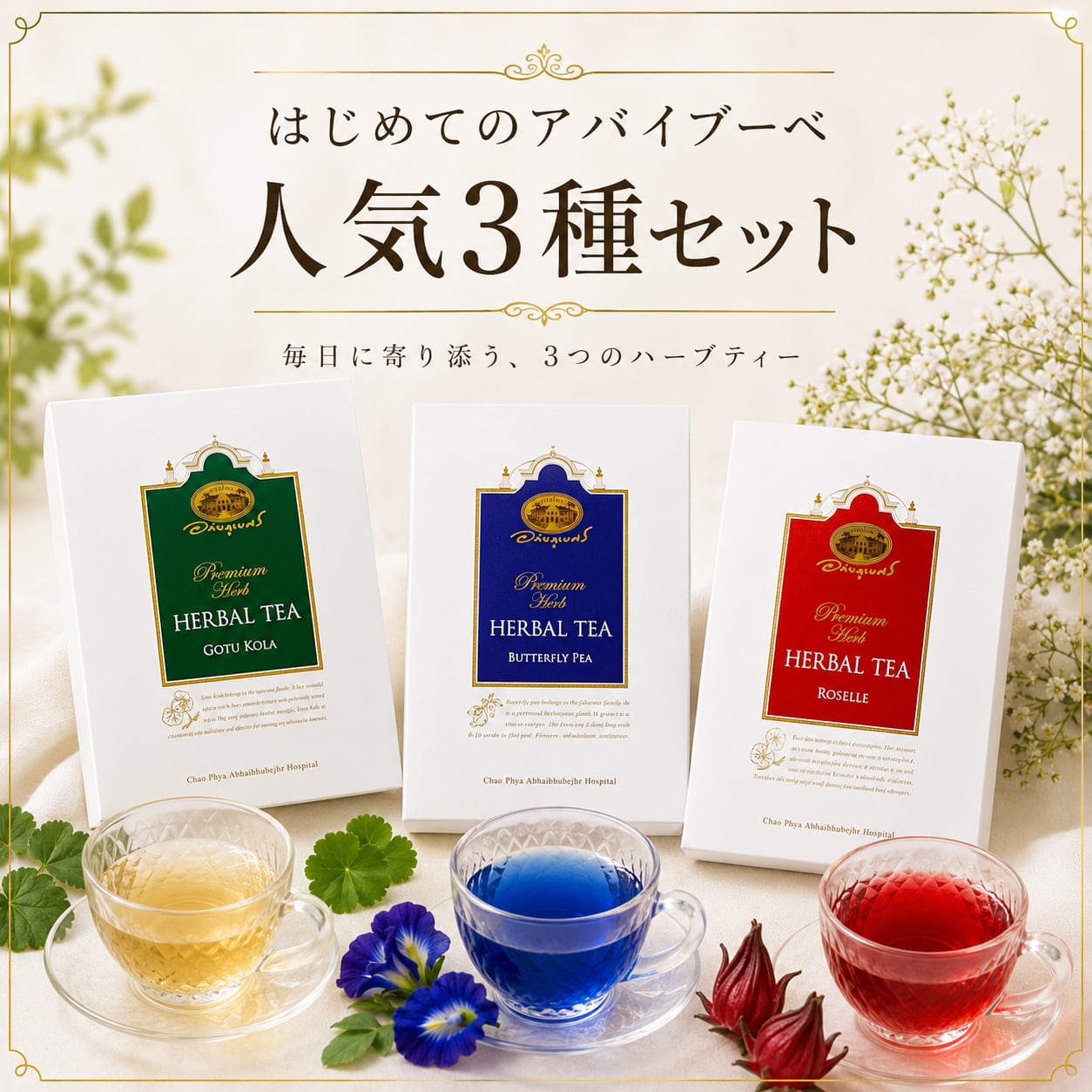 初めてのアバイブーベ3種セット 通常5832円