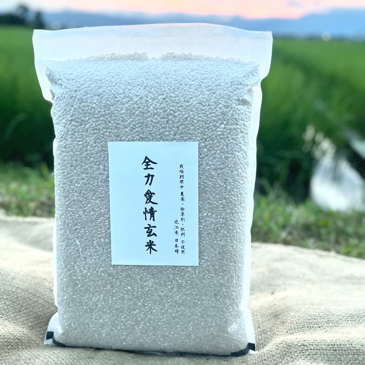 備蓄用真空パック】 『神の米』（ 玄米 5kg 栽培期間中農薬不使用 化学