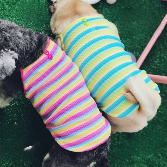 Dog Wear -rainbow-　　dogw-50