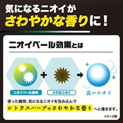 デ・オウ 【医薬部外品】薬用プロテクト デオドラントロールオン 50mL 制汗剤 直塗り 男のニオイまるごと防臭