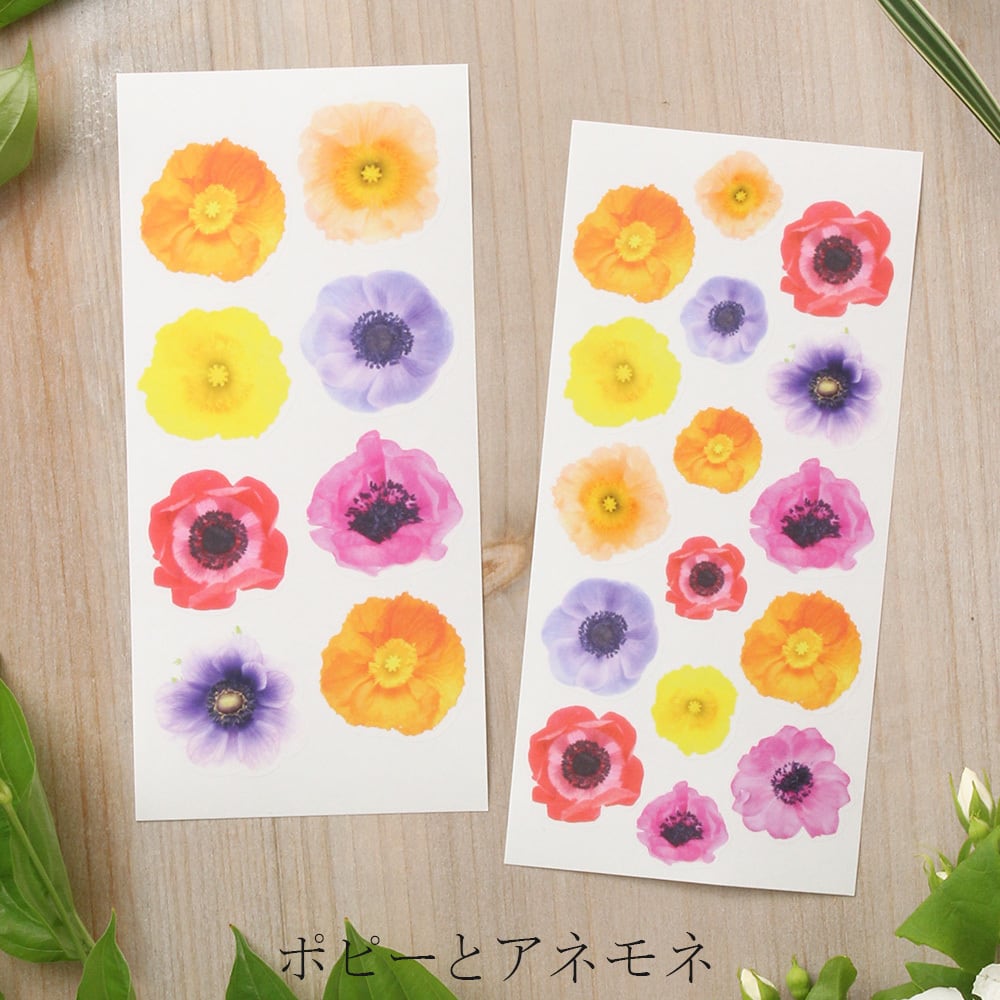 透ける花シール ポピー アネモネ フラワー 2枚組 G039 だいし屋さん 花 植物 無地 ポストカード 29枚セット