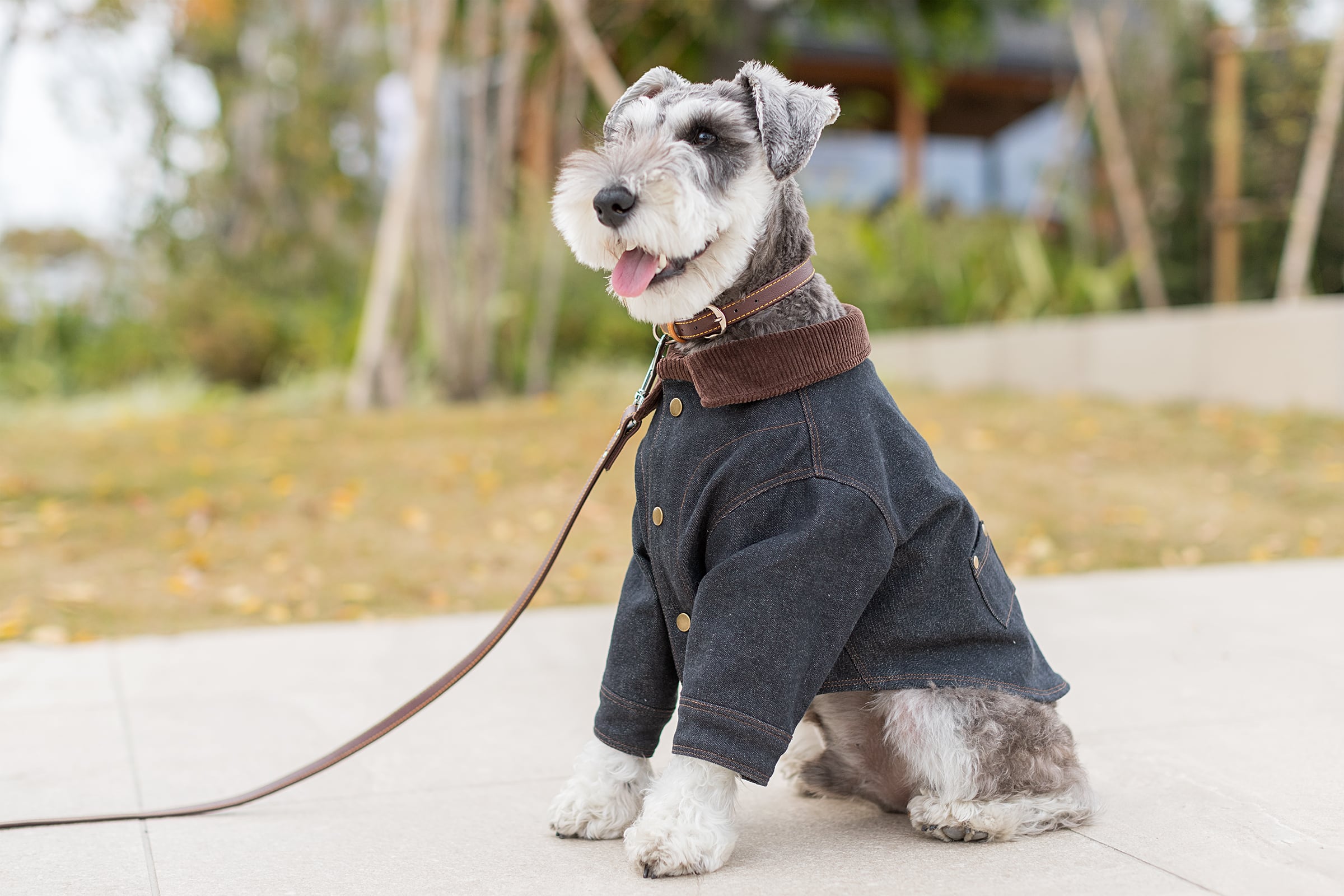 French Denim Work Jacket | Be Friends Again