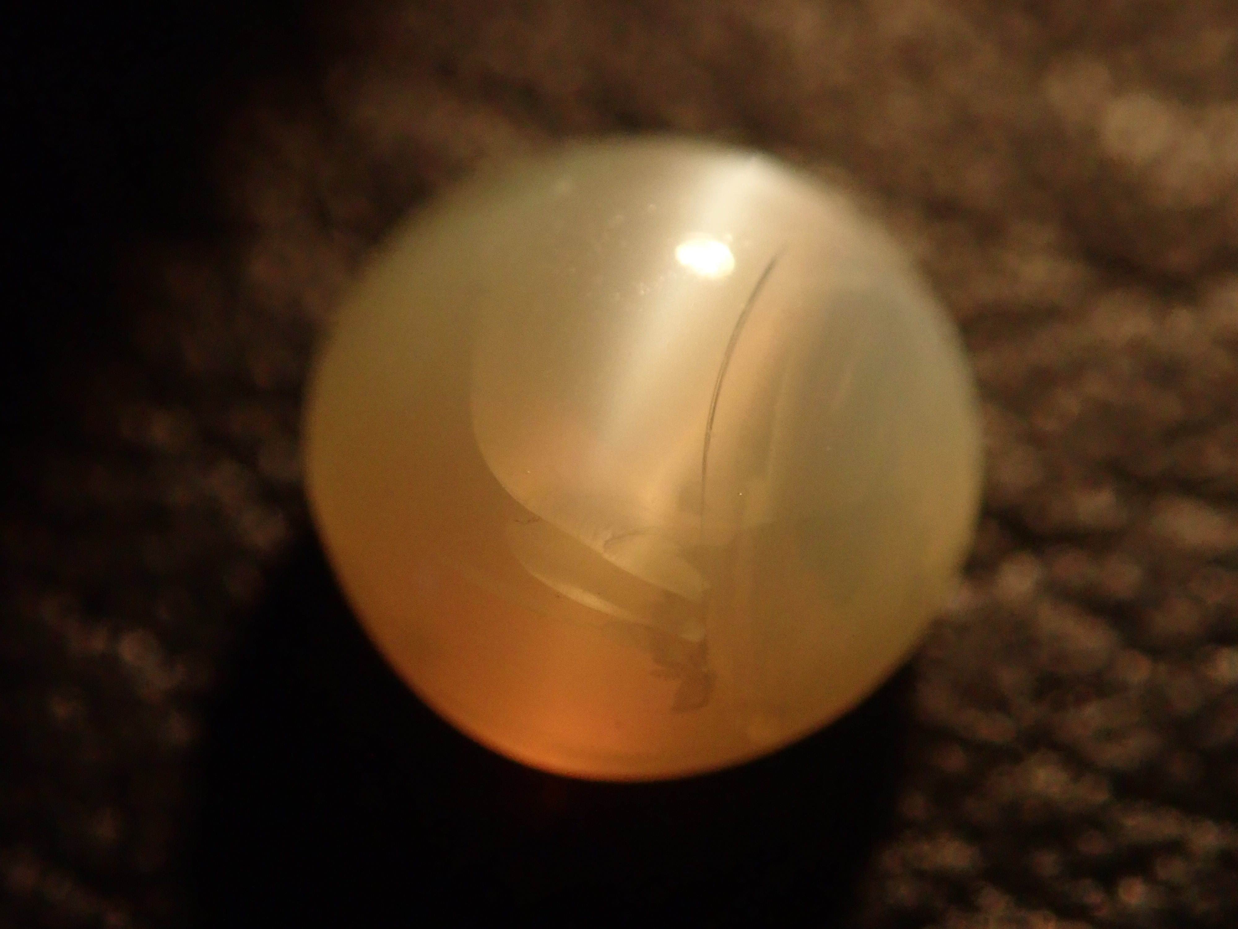 インド産クリソベリルキャッツアイ 0.667ct | Gem Shop Urcaguary