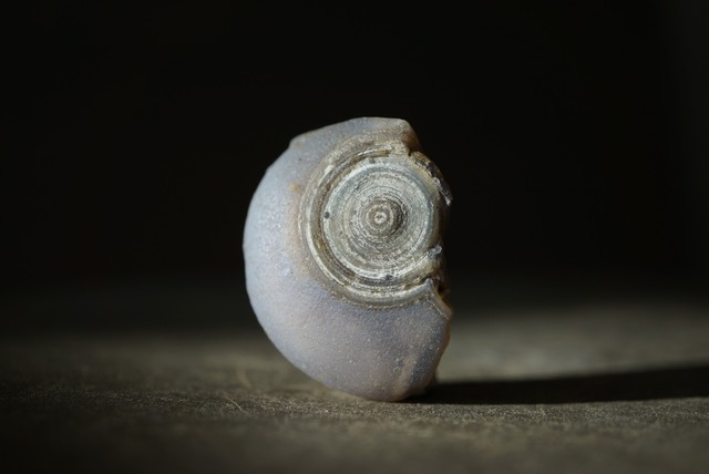 ゴビアゲート Gobi Agate 1450