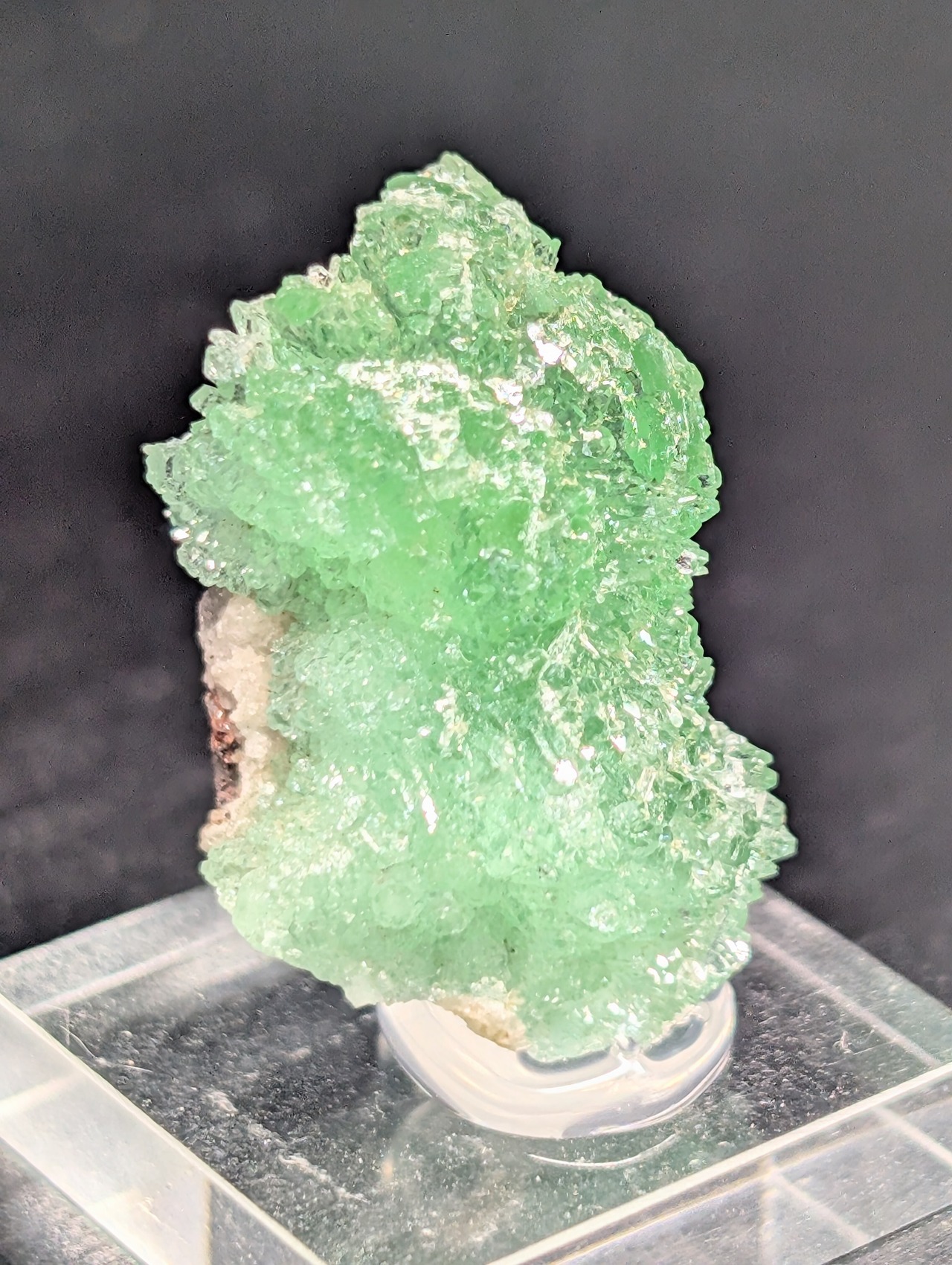 グリーンアポフィライト  Jalgaon, Maharashtra, India   AR84801209