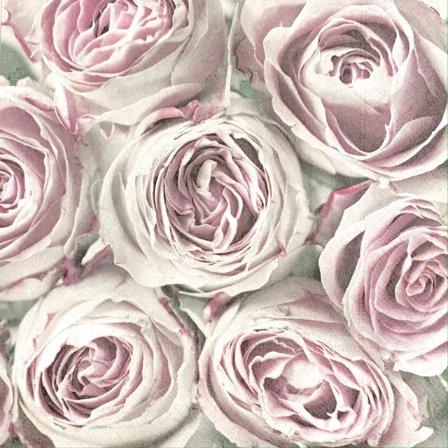 【Sagen Vintage Design】バラ売り1枚 ランチサイズ ペーパーナプキン ROSES ALL OVER ピンク