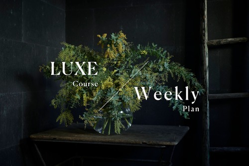 LUXE COURSE｜Weekly Plan｜毎週お届け