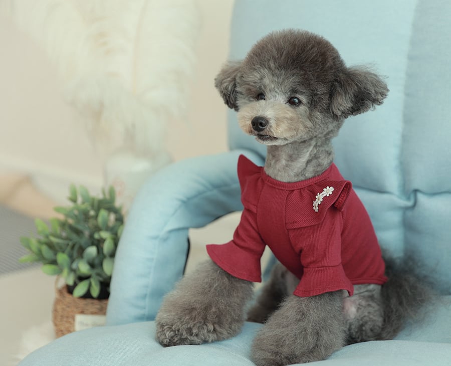purina t-shirt S ~ XL 4color  /  犬服 秋冬 Tシャツ ブラウス 上品 可愛い ワンコ服 ストレッチ 犬の服 長袖 無地 ドッグウェア フリル シンプル ニット お揃い ハイネック 韓国ワンコ服 小型犬 中型犬