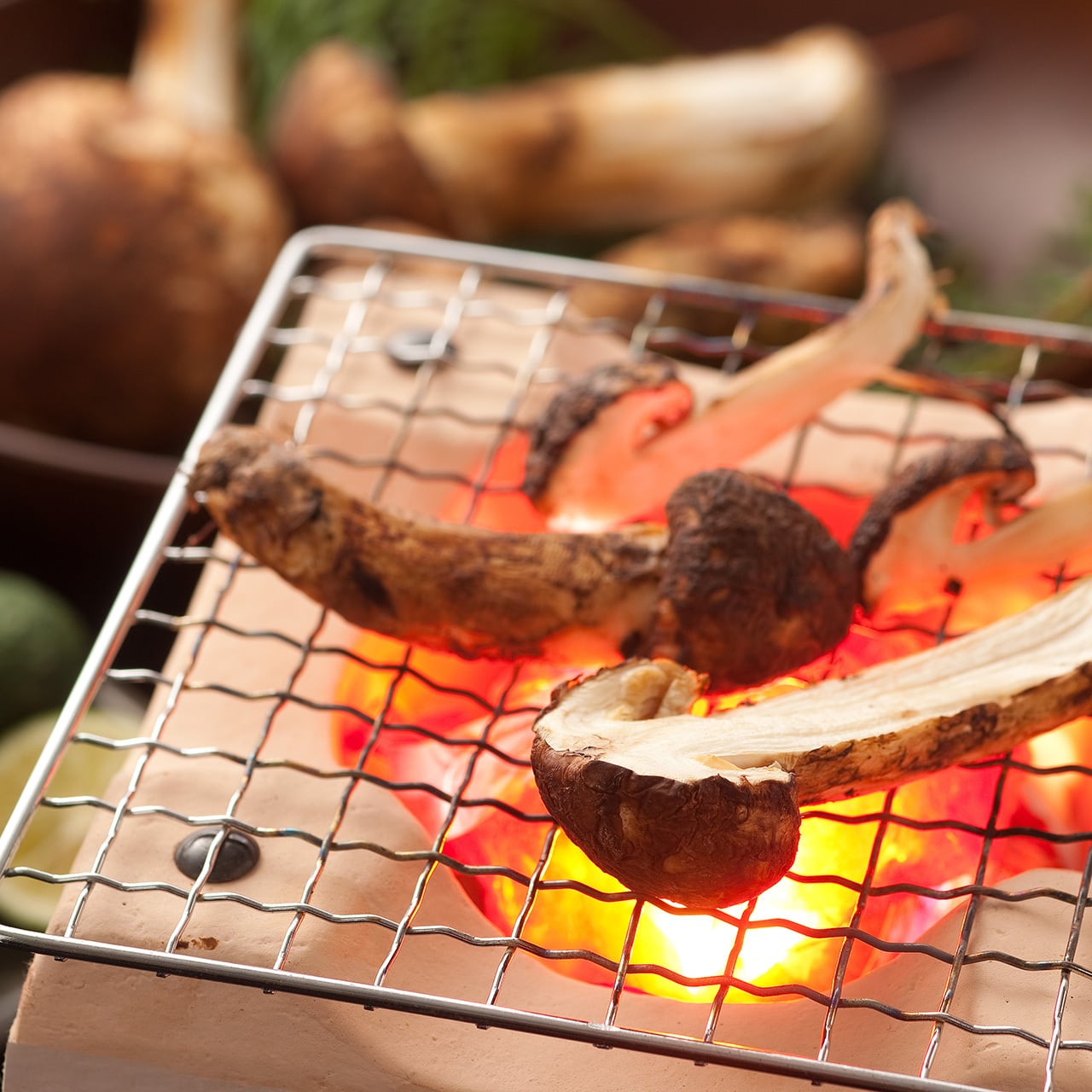 長野県信州産　国産松茸　約200g 送料無料】長野県産松茸 200g