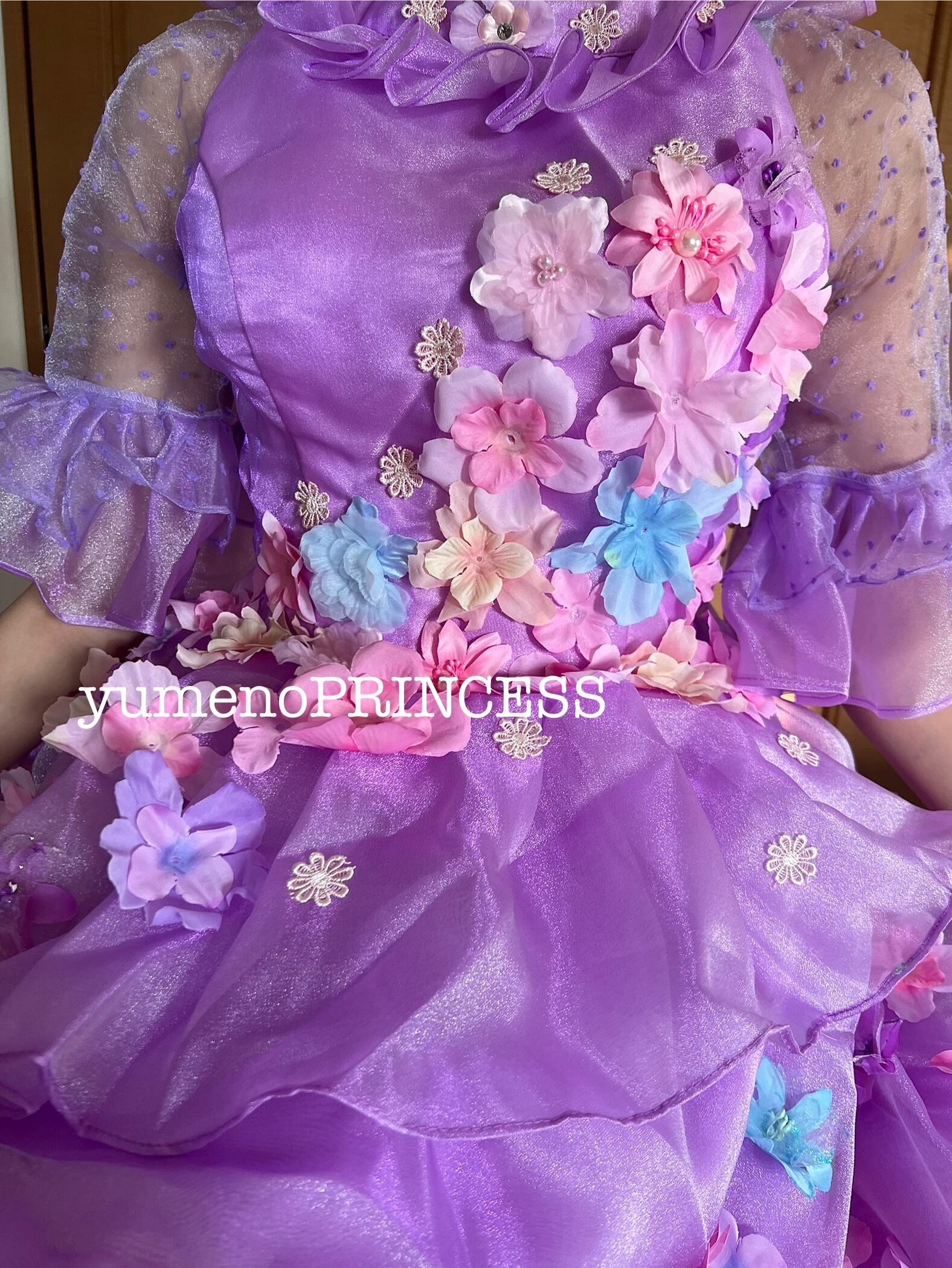 ディズニー ミラベルと魔法だらけの家 イサベラ Dハロ コスプレ