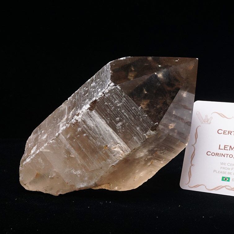 レムリアンシード スモーキークォーツ 原石 ブラジル ミナスジェライス州 コリント産 証明書付属 一点物 281-240