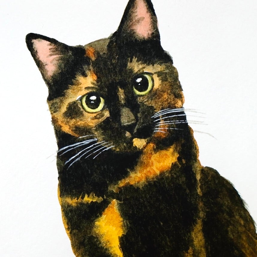 猫の絵 442 水彩画 原画 サビ猫 | Forest cat