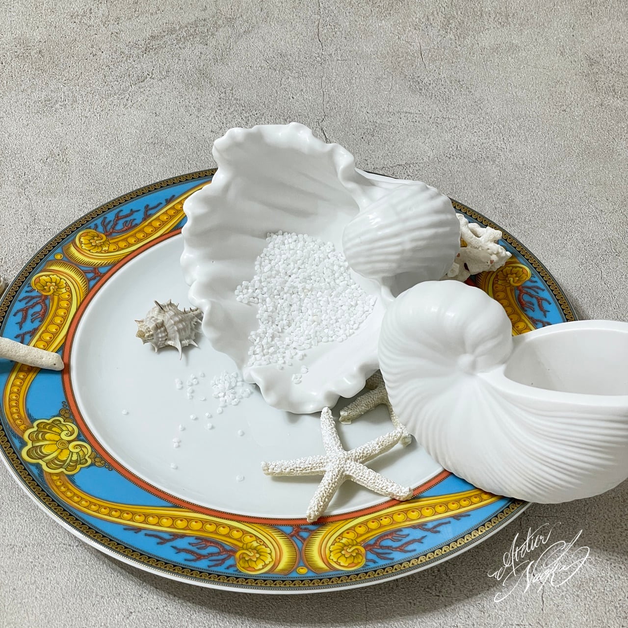 シャコ貝 シェル シリコンモールド | シリコンモールド・クレイ