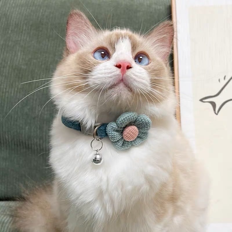 Flowerポイント首輪 猫 チョーカー 花 | nyanpets 猫グッズ専門店