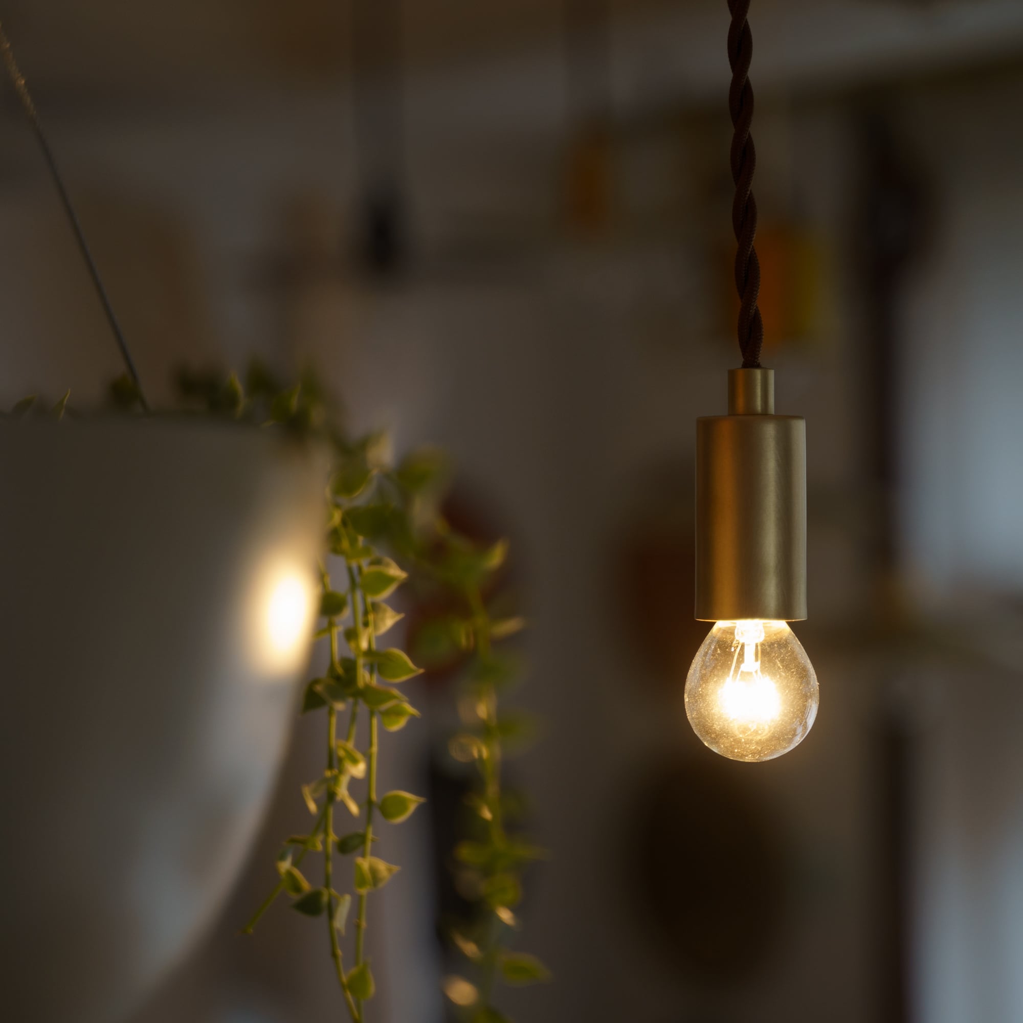 受注製作】ペンダントランプ＜ロゼE17 タイプ2＞ / 真鍮 pendant lamp
