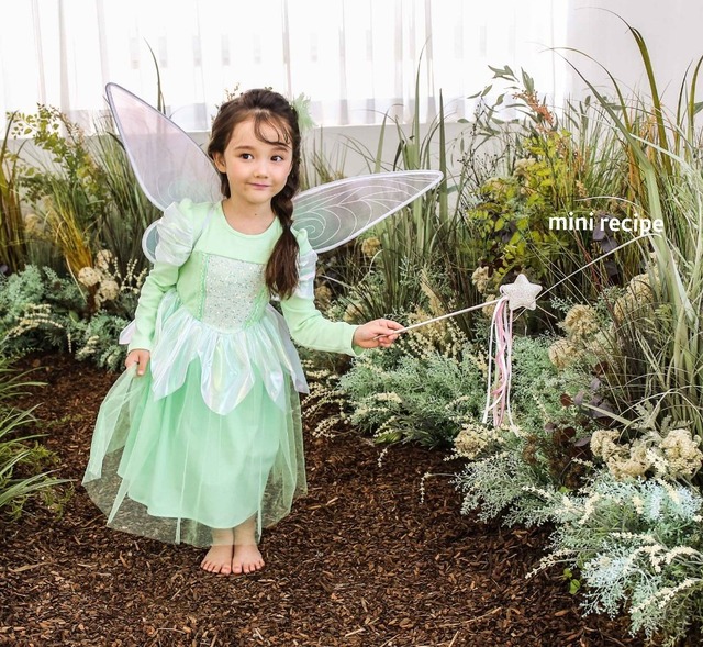 B品【即納】<mini recipe>  Tinkerbell fairy dress + Fairy wings