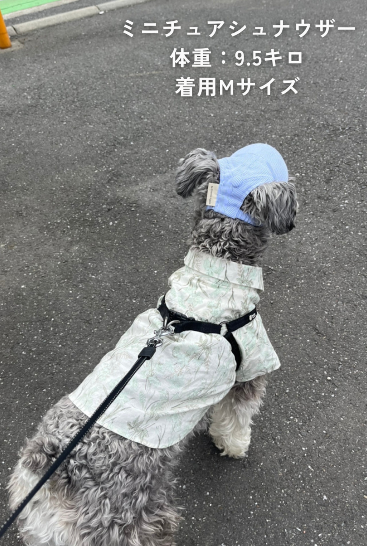 NiceDay Cap(Pink Stripe)