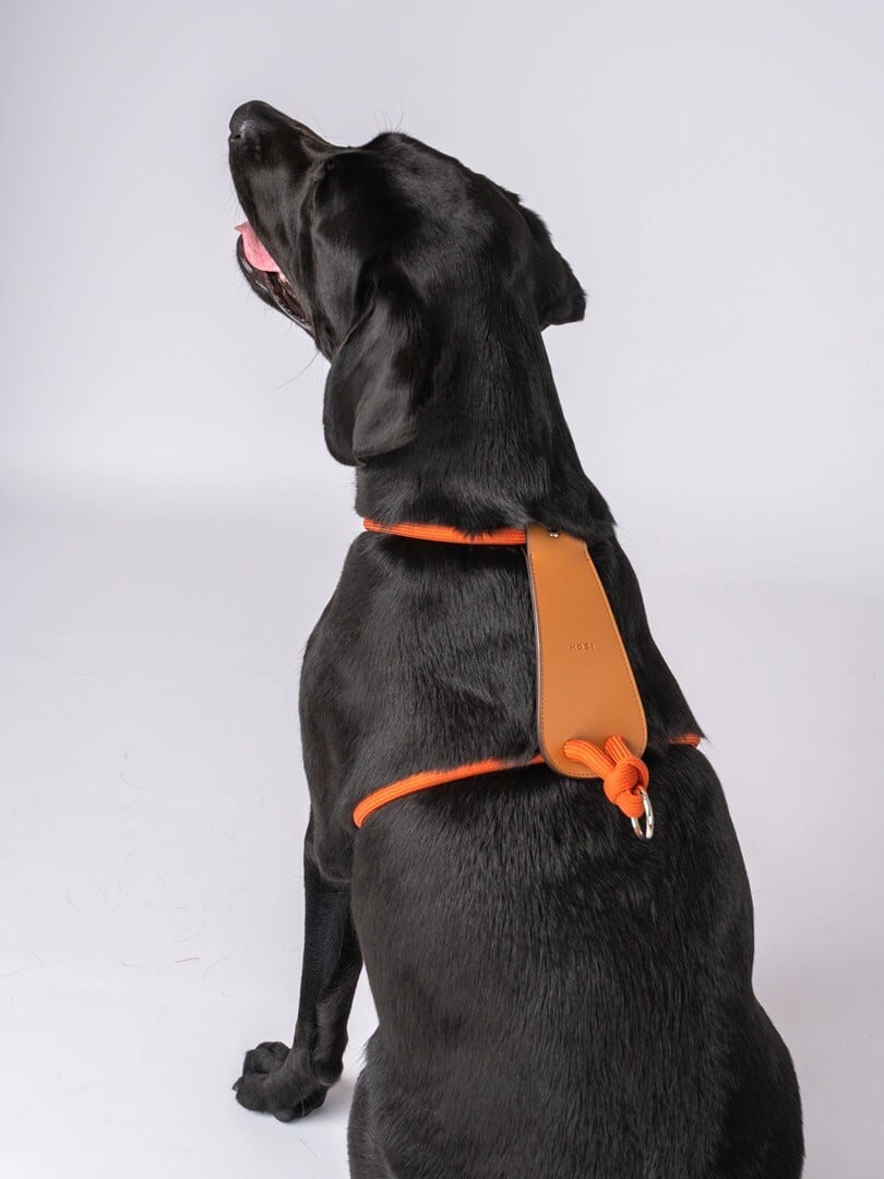 Mサイズ」エッセンシャルハーネス【HOZI】 | Pay ID