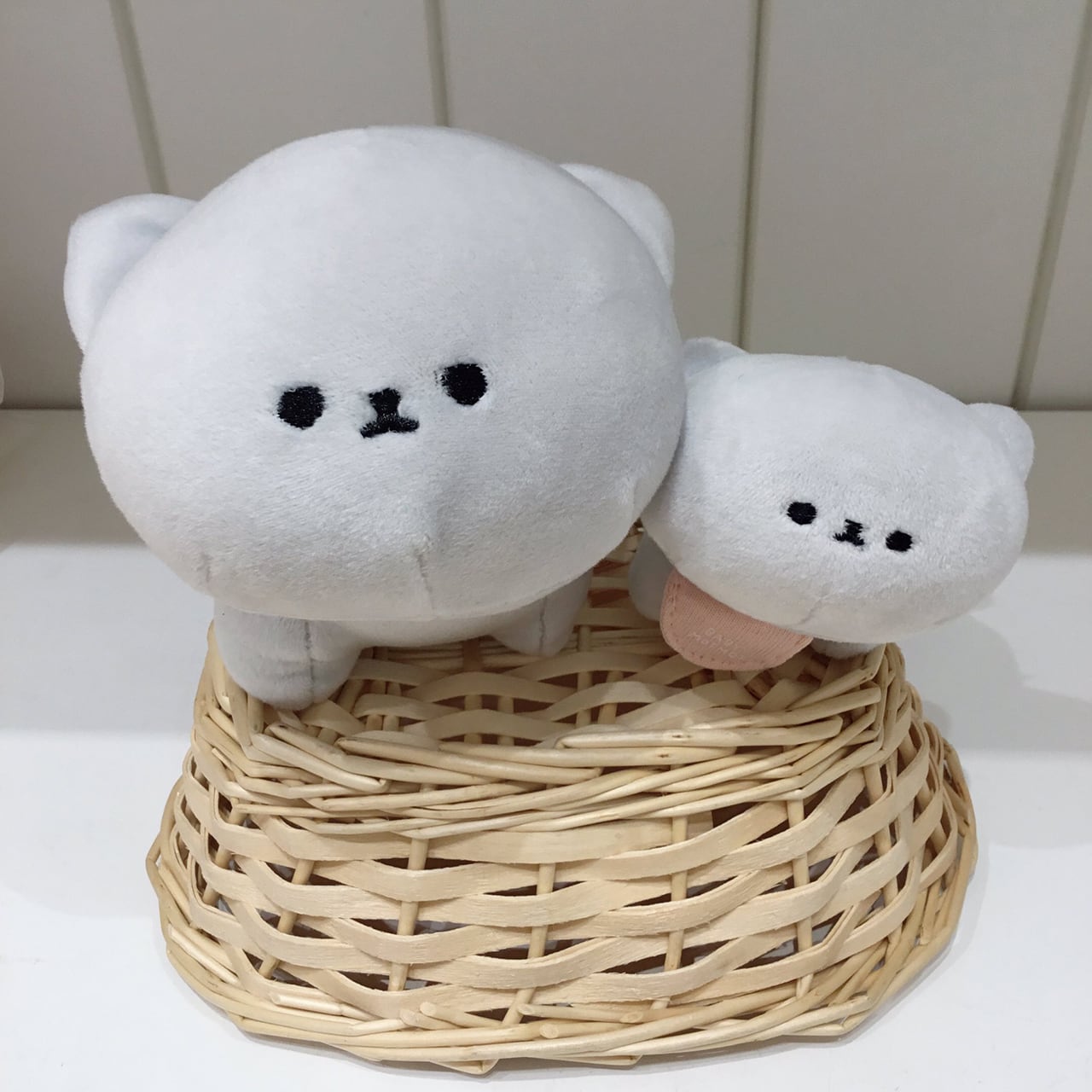 mof】テノリマスコット ブリティッシュショートヘア /TM111-3 | ACCENT